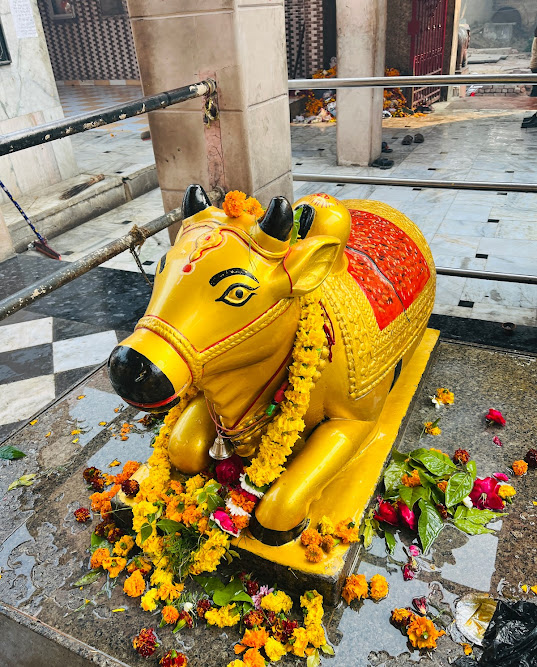 nandi ji in temple