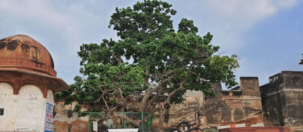 cheer ghat