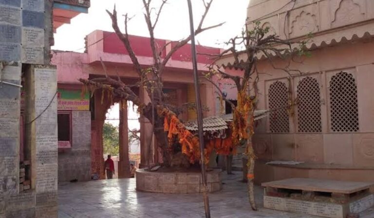 inside chaurasi khamba temple mahavan